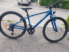 Fahrrad Riverside blau 8 Gang guter Zustand