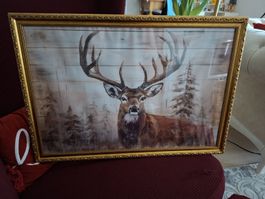 Bild Hirsch inkl Rahmen
