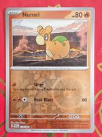 Numel - Pokemon Reverse Holo Paldean Fates