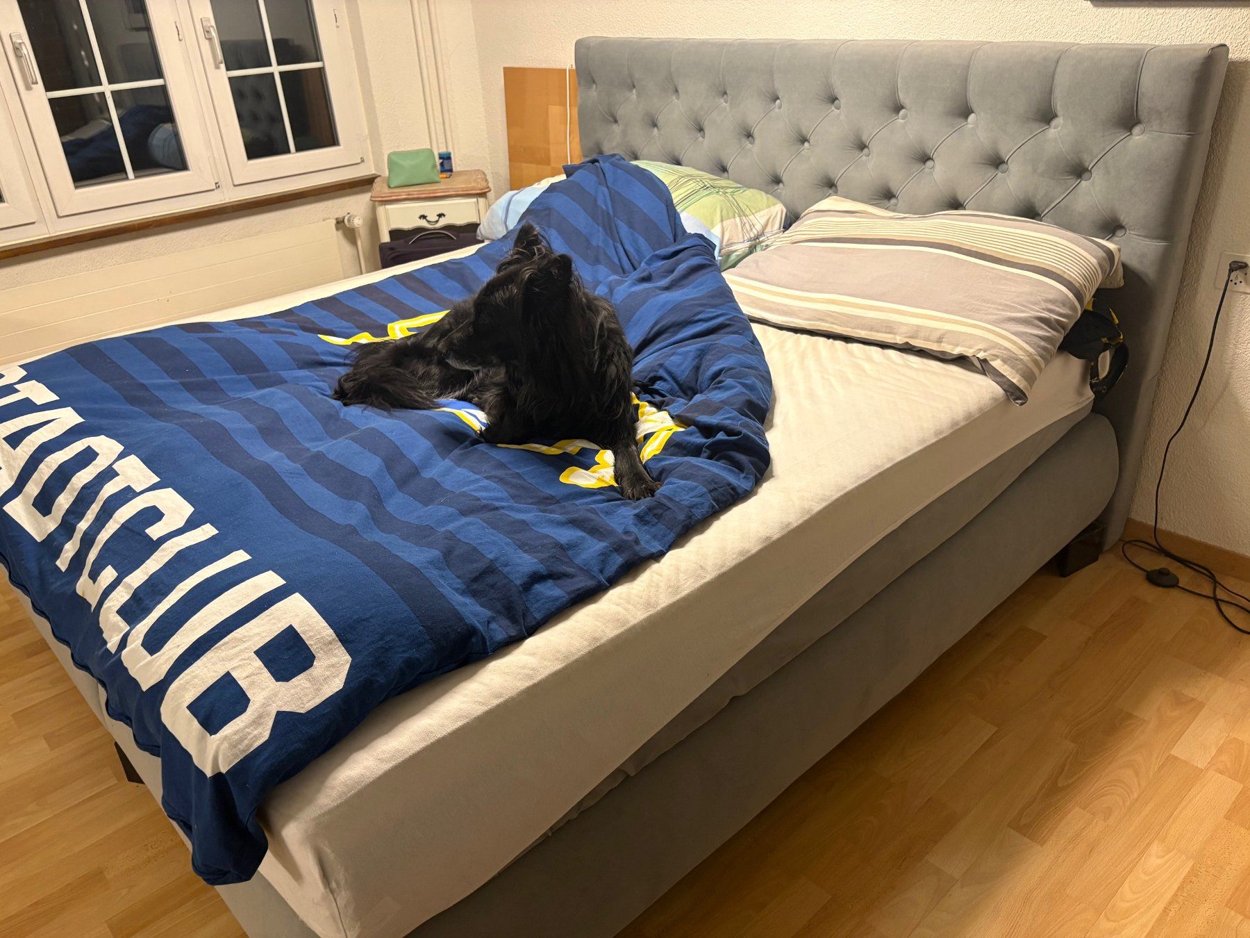 Letti: Boxspringbett – Usato da Oberrieden venduto da wod_xn9v