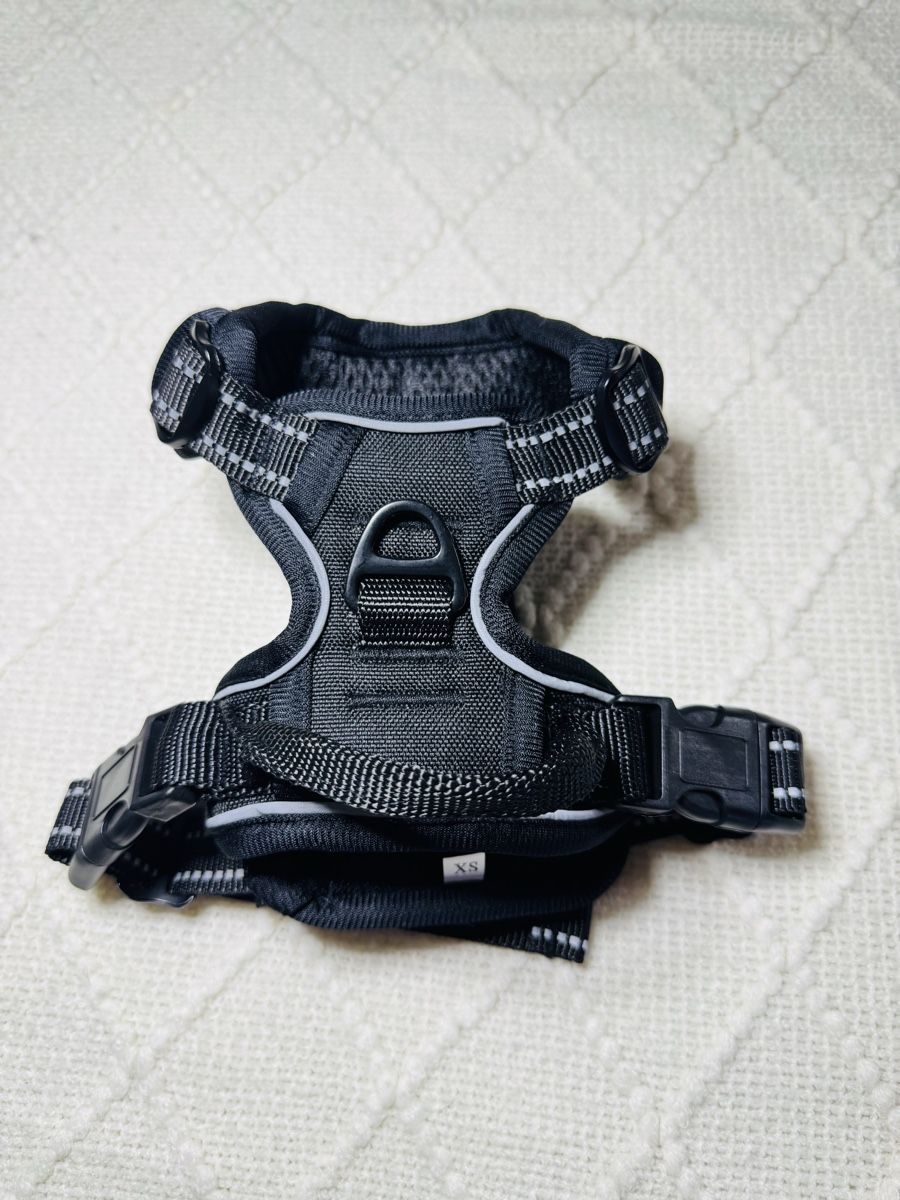 Collier et laisse: Hunde- oder Katzengeschirr NEU – Neuf (Voir description) à Eschlikon TG par little.dove