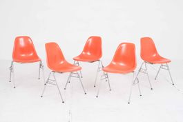 Vitra Fiberglass DSS Side Chair von Eames in Rotorange