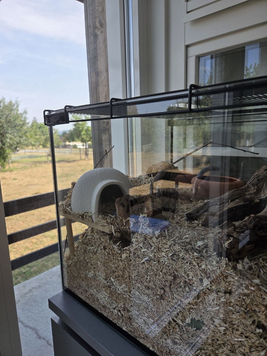 Ferplast Gabbie, trasporto & Sicurezza: Kleintierkäfig / Terrarium – Usato da Uetendorf venduto da mml_9xjd 4