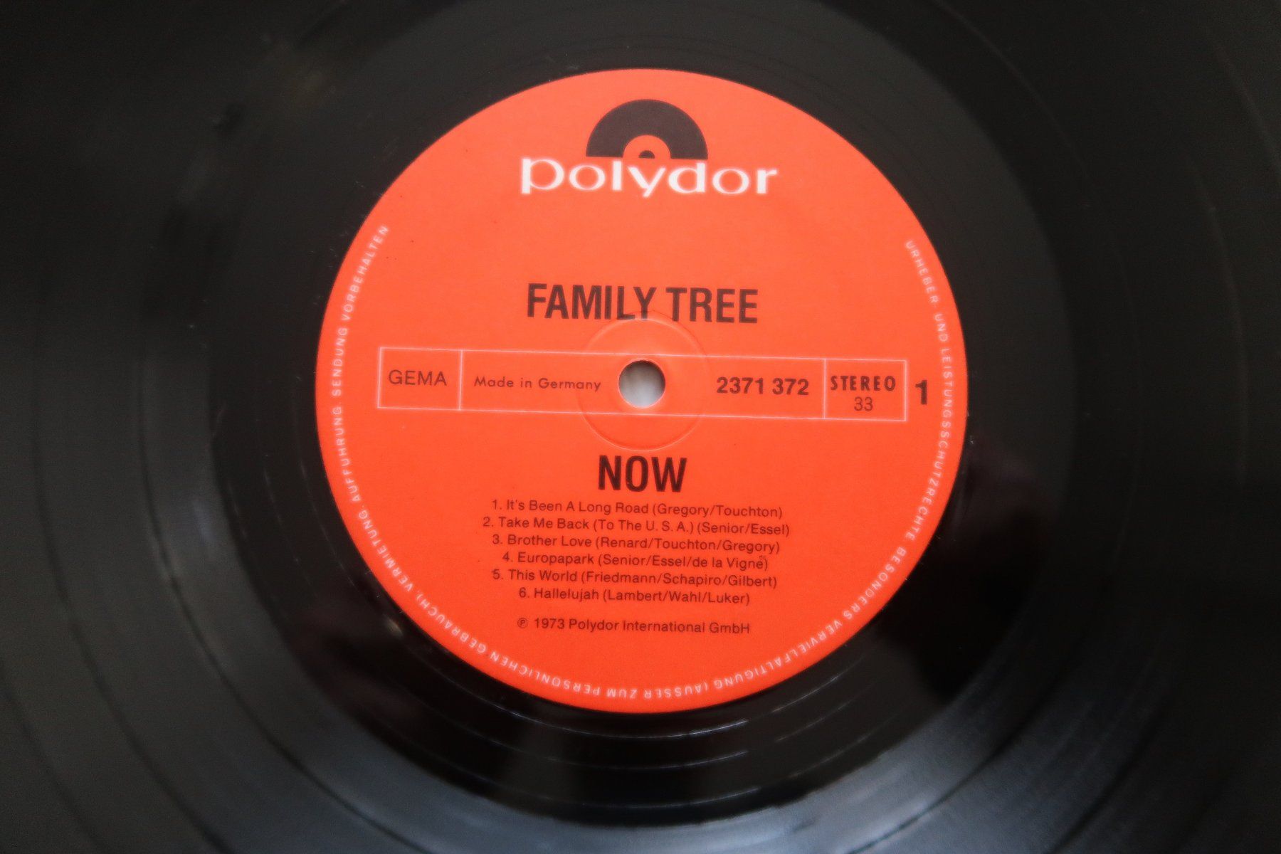 Schallplatten: FAMILY TREE - NOW - VINYL LP – Gebraucht aus Basel von Patiscat 2