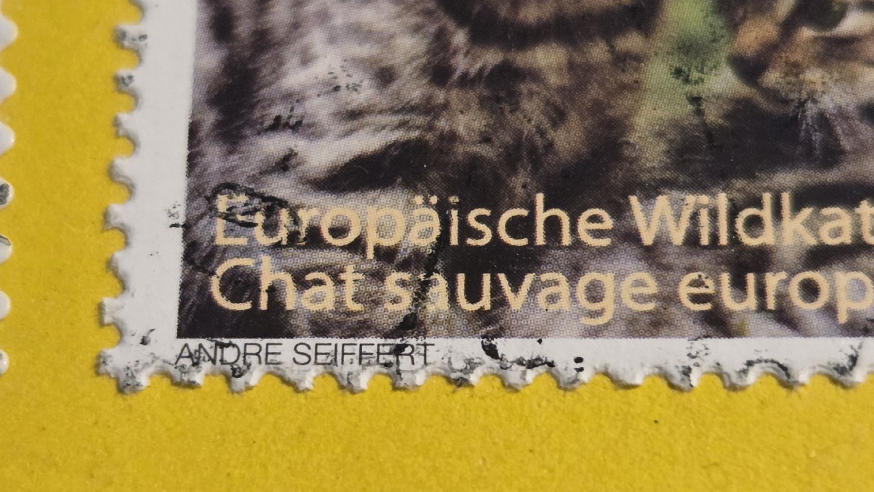 Tutti i francobolli: 2009 Abart Katze verschobenes Markenbild – Usato da Arni AG venduto da Moth68 2