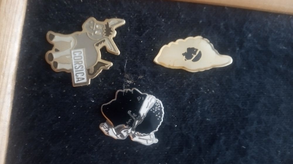 Plaketten & Abzeichen: 3er Set Vintage Anstecknadeln Pins - Corsica, Blume, Tier – Gebraucht aus Belp von Guadalupe84