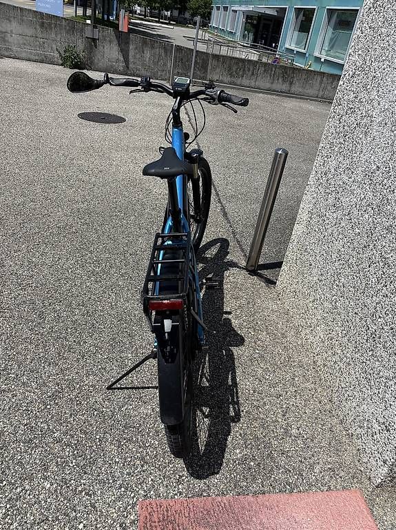 Biciclette: Reise & Muller 45 kmh – Usato da Grand-Lancy venduto da smo_xv2h 1
