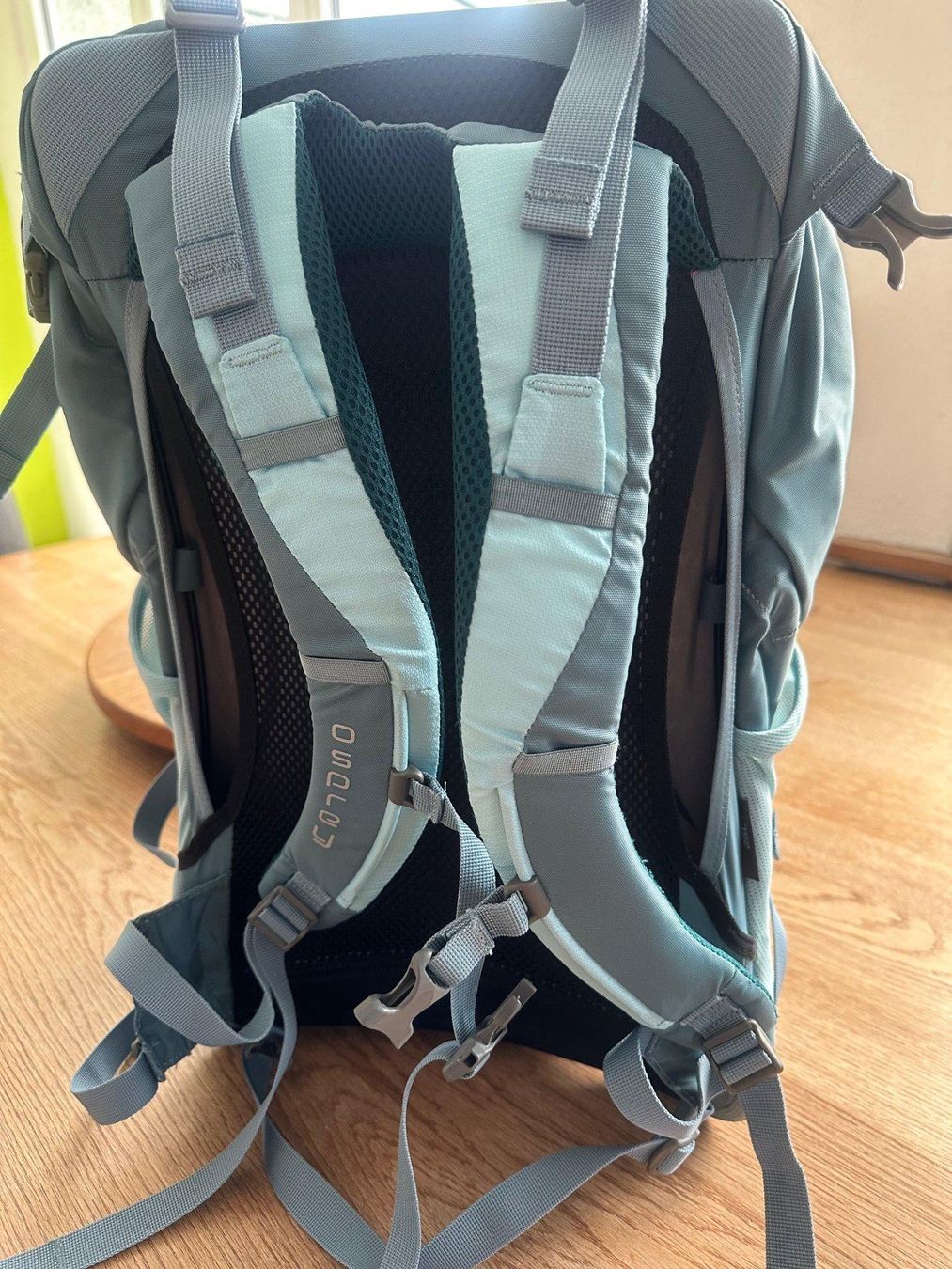 Zaini: Ospray Rucksack Damen – Nuovo (secondo la descrizione) da Malans GR venduto da PiaSch 1