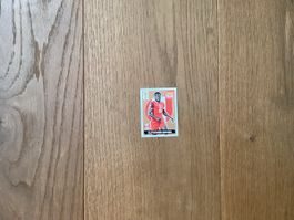 Extra Sticker Davies Bronze