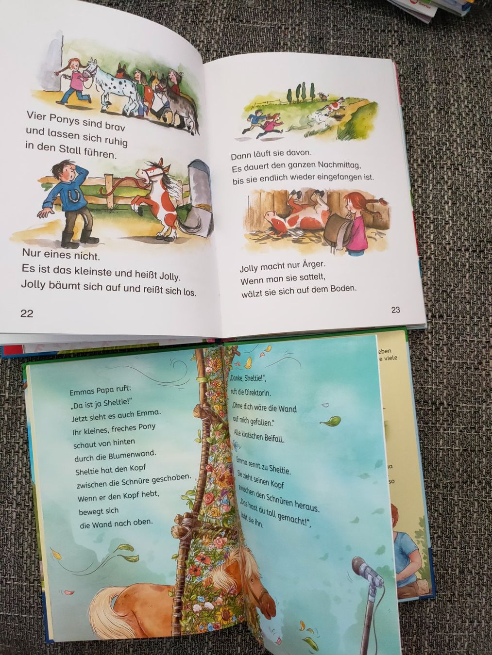 Livres: Erste Lese Bücher 1. Klasse – D'occasion à Jona par Sydney304 1