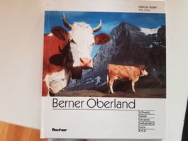 Buch - Berner Oberland Fischer - Markus Gyger - Polo Hofer