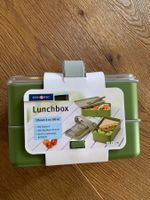 2 x Lunchbox Brotdose à 500 ml NEU