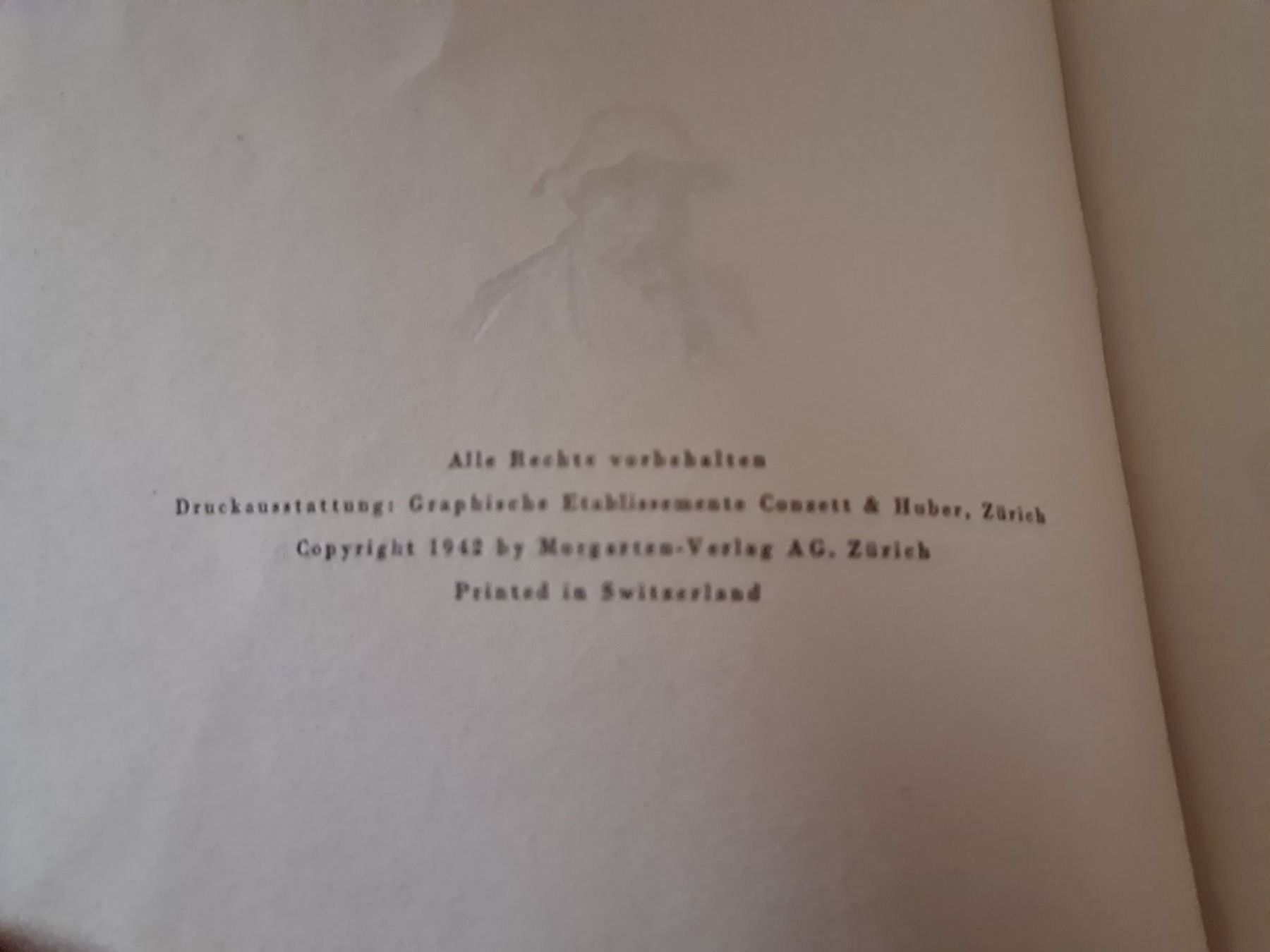 Libri: Das Dorf in den Bergen – Usato da Erstfeld venduto da Mario_boe0 1