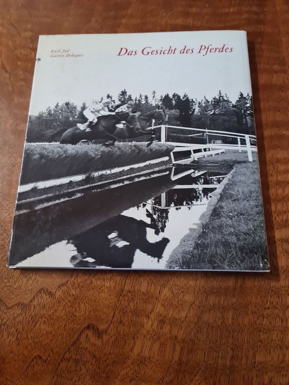Libri: Das Gesicht des Pferdes – Usato da Erstfeld venduto da Uhu1980 3