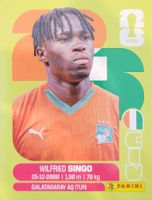Panini FIFA World Cup CIV 4