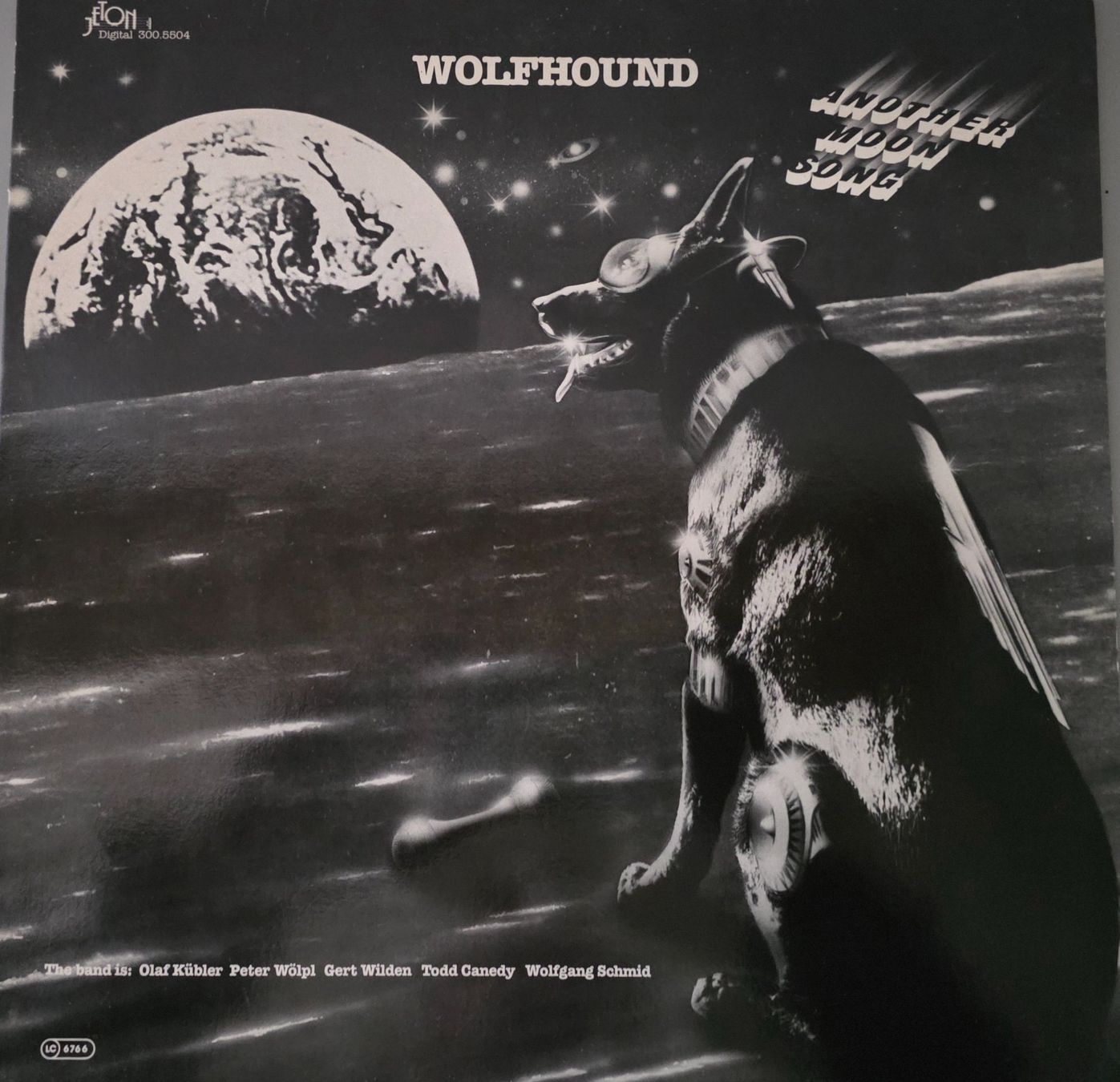 Dischi in vinile: Wolfhound LP – Another Moon Song – Usato da Root venduto da atelier22