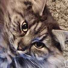 Profile image of hub_qds2
