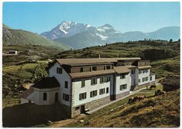 SIMPLON-PASS Schwesternheim Stalden - Kühe