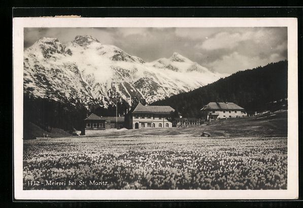 Ansichtskarten: St. Moritz, Blick über Wiesen auf eine  – Gebraucht aus Berlin von bartko-reher