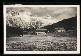 St. Moritz, Blick über Wiesen auf eine 