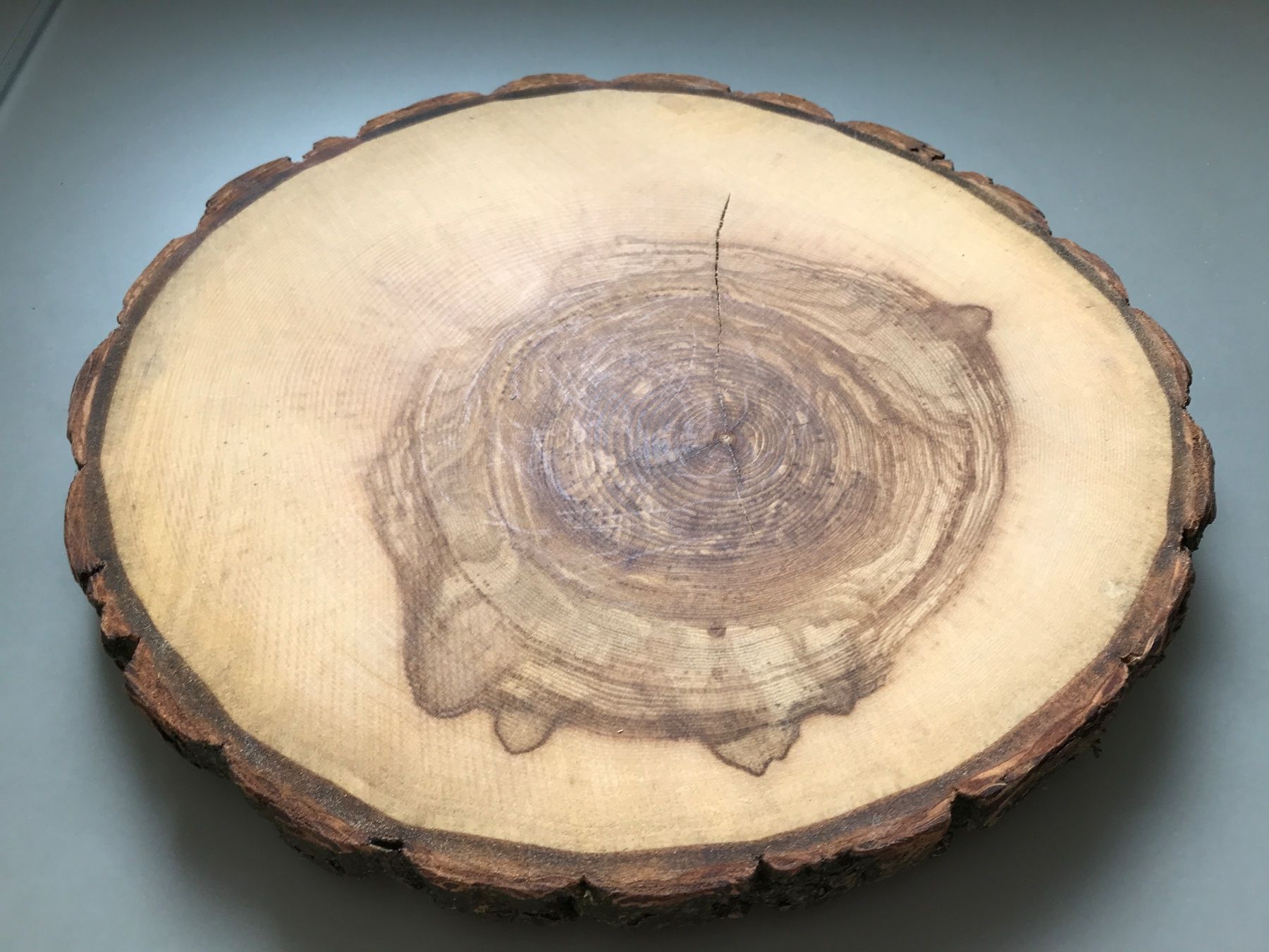 Articles en bois: Holzscheiben – Neuf avec emballage d'origine à Buttwil par mina010 3