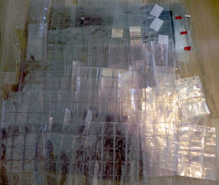 CXIIPOL 640 Münzhüllen – 5,1 X 5,1 Cm, Transparente PP-Münzhalter Für 3-Ring-Ordner Und Sammelalben