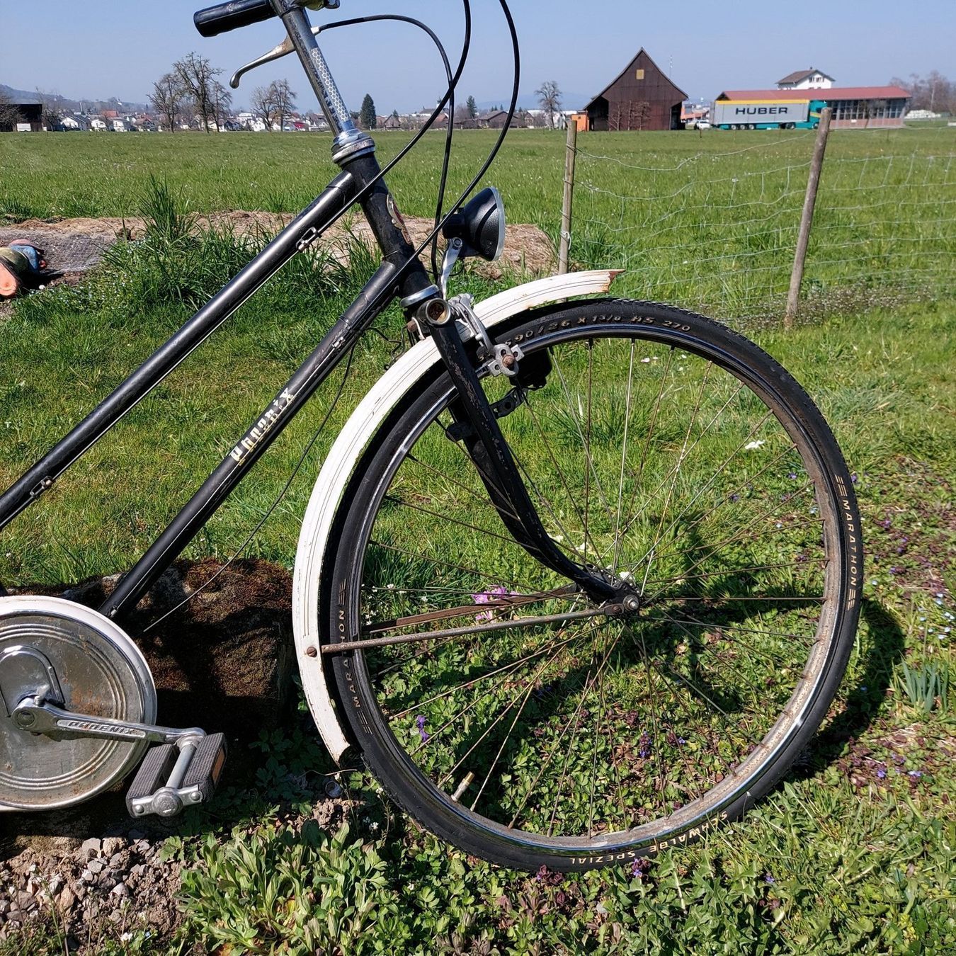 Biciclette: Velo Feng Huan-Phoenix – Usato da Siebnen venduto da Mark_SZ