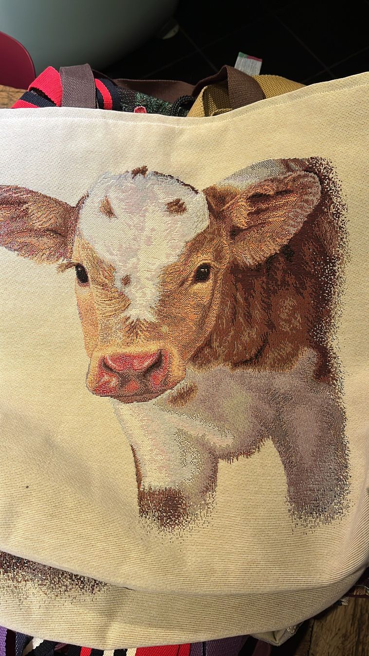 Tessuti: Stofftaschen diverse – Nuovo e nell'imballaggio originale da Felsberg venduto da Memef 9