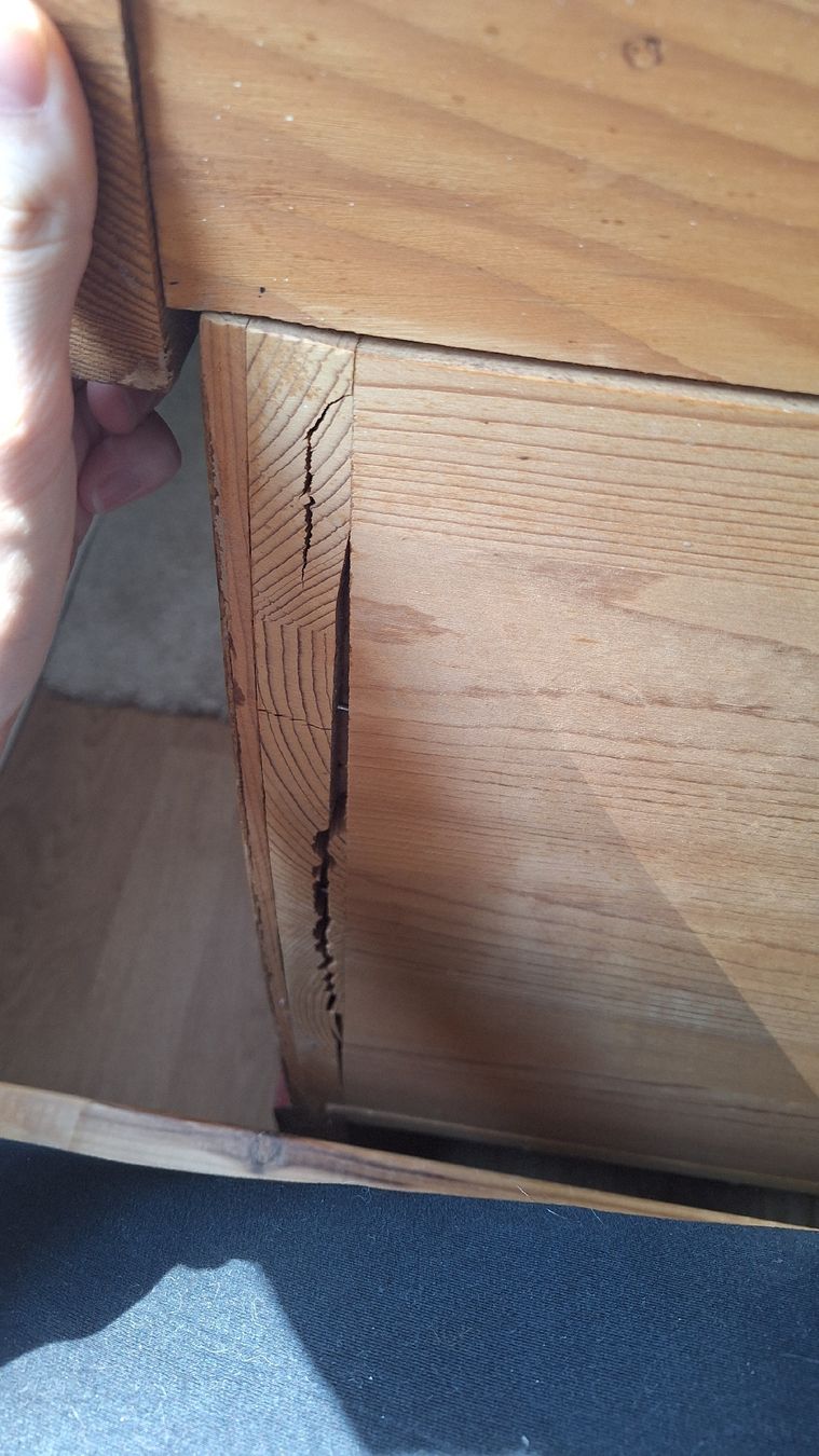 Coffres: Antike Holz-Truhe mit Handbemalung – D'occasion à Winterthur par _lxeah 5