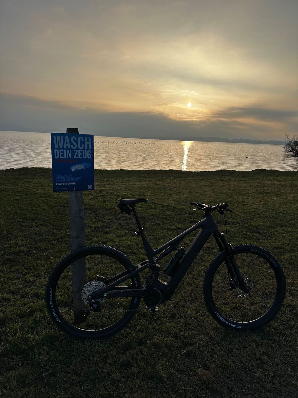 Canyon Biciclette: Neuron:On CF 7 2024 Stealth L – Usato da Zug venduto da NikosKoukos 4