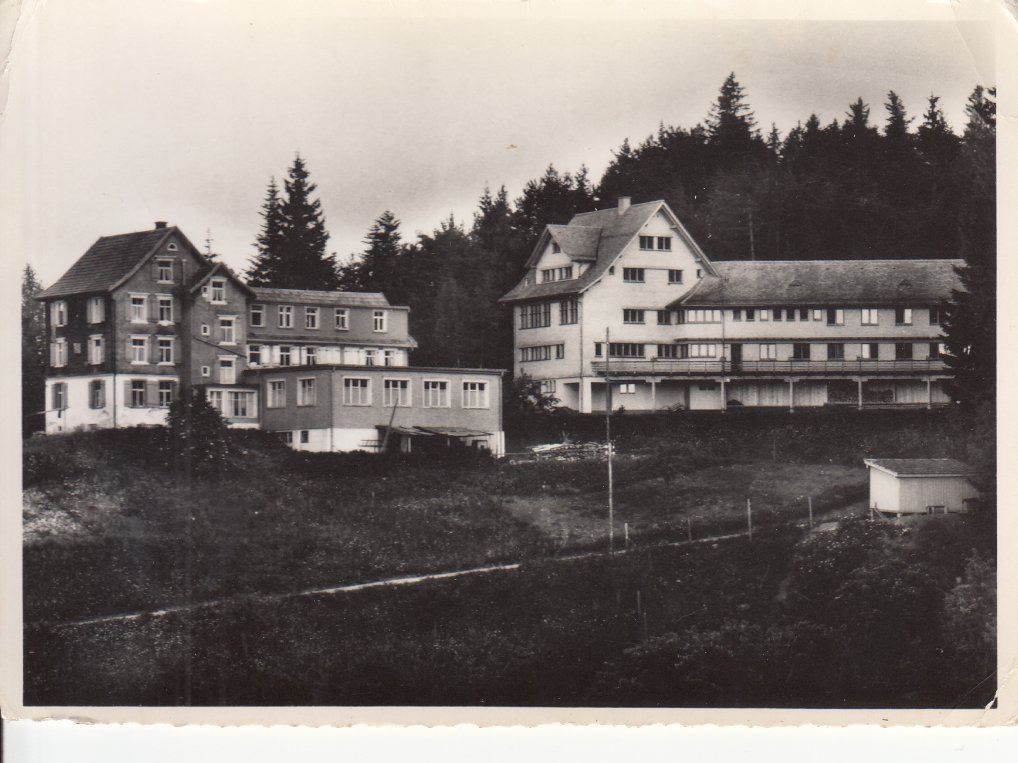 Cartoline postali: Walzenhausen Sonneblick (2), ca. 1950 – Usato da Bürglen TG venduto da StampGraf