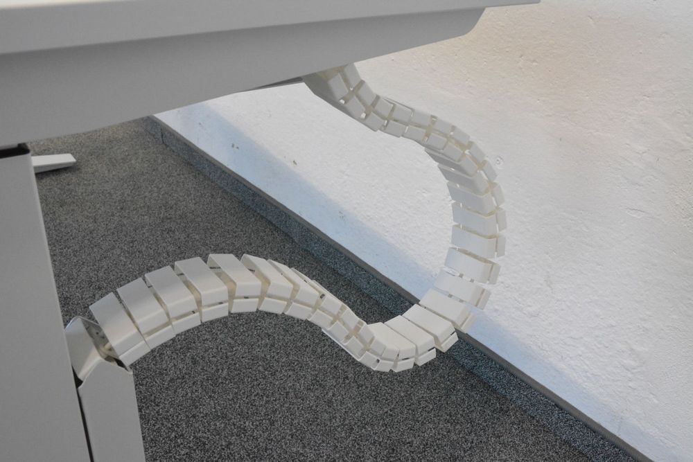 Sitag Tatzelwurm für Sitag Active - Meta (Gebraucht) in Schönenwerd für ...