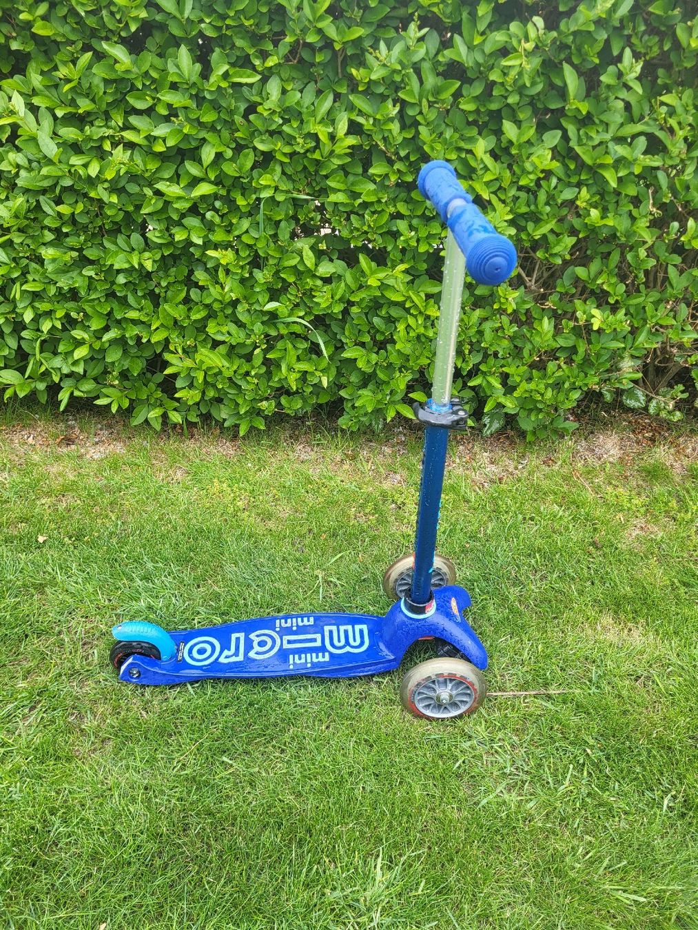 Micro Kickboard: Micro Mini Roller – Usato da Scherzingen venduto da deg_6v7r