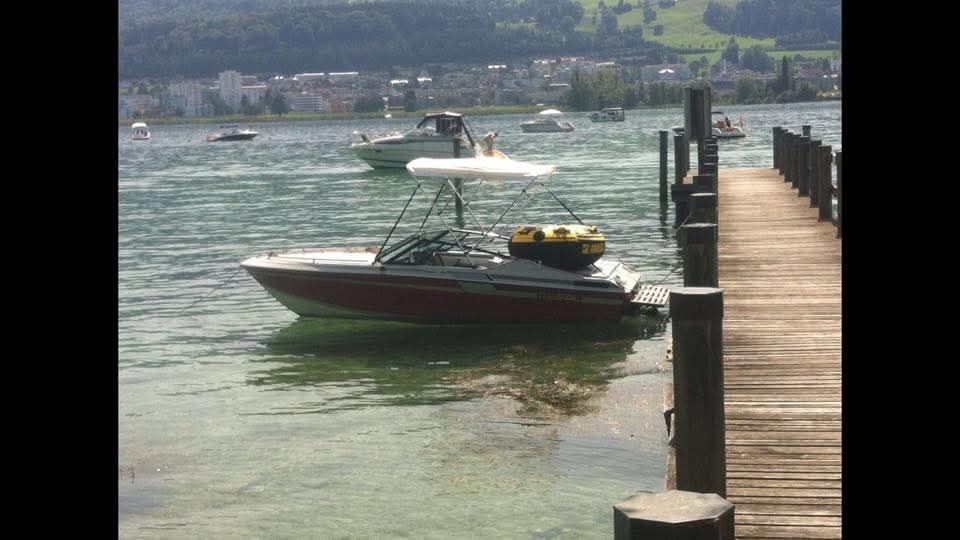 Regal Barche: Motorboot Regal Medallion 185 3.0 – Usato da Regensdorf venduto da Mischa88 5