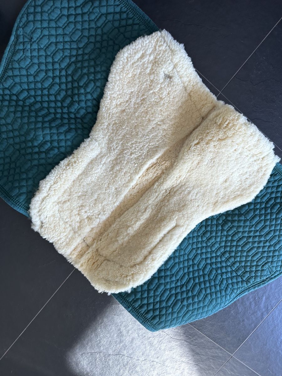 Felix Bühler Coperte & Accessori: Lammfellschabracke WB – Usato da Thal venduto da Nawajo 2