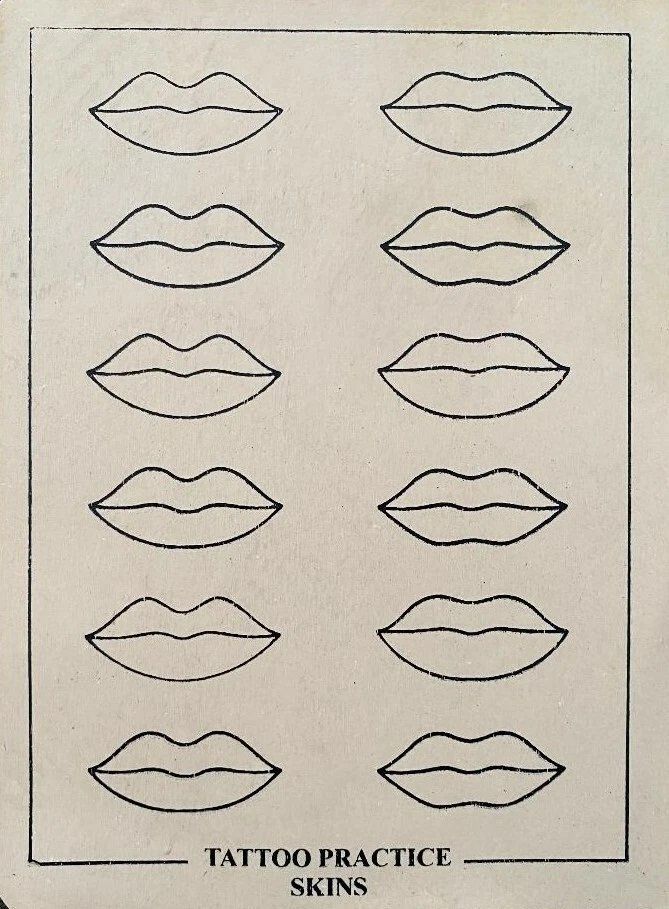 Make-up: Permanent Make up & Microblading 12 x Übungshaut – Nuovo (secondo la descrizione) da Wohlen AG venduto da Schlumpfi1963 1