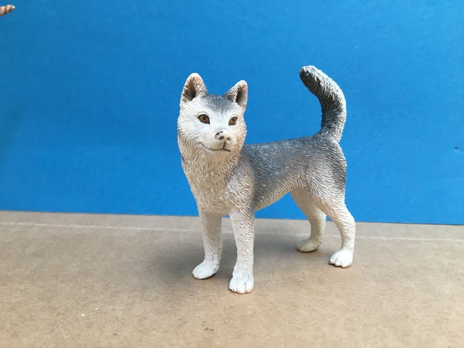 Schleich Figuren: Schleich 16372 Husky Hündin Hund – Gebraucht aus Ennetbaden von mapa05 2