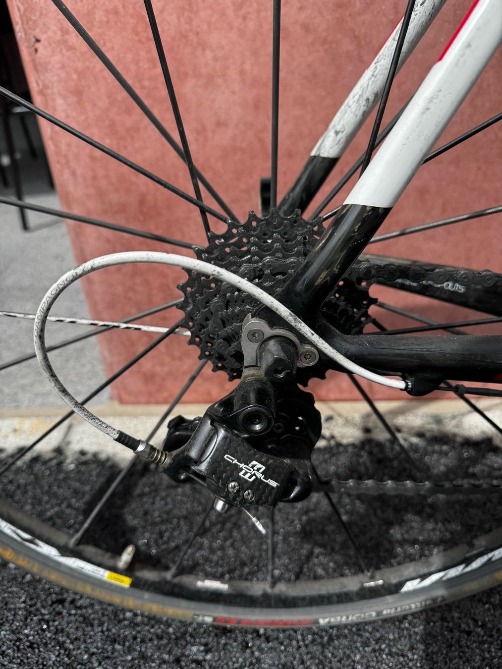 Simplon Biciclette: Rennrad Simplon Pavo – Usato da Luzern venduto da Gigi_86 5