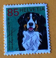 Nr.1227 Berner Sennenhund GESTEMPELT Sondermarken 2007   