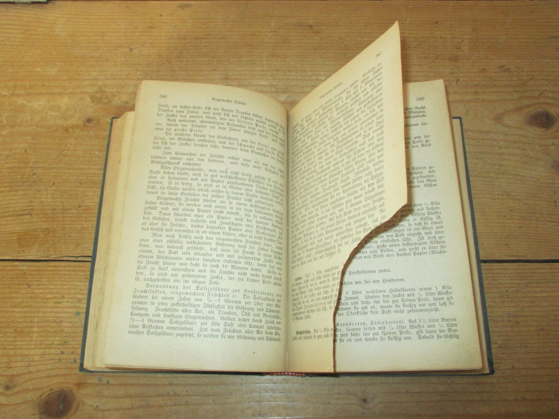 Libri: "Das Hauswesen" von 1880 – Usato da Flims - Dorf venduto da Stagediver 5