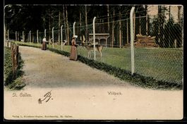 AK St. Gallen, Frauen im Wildpark