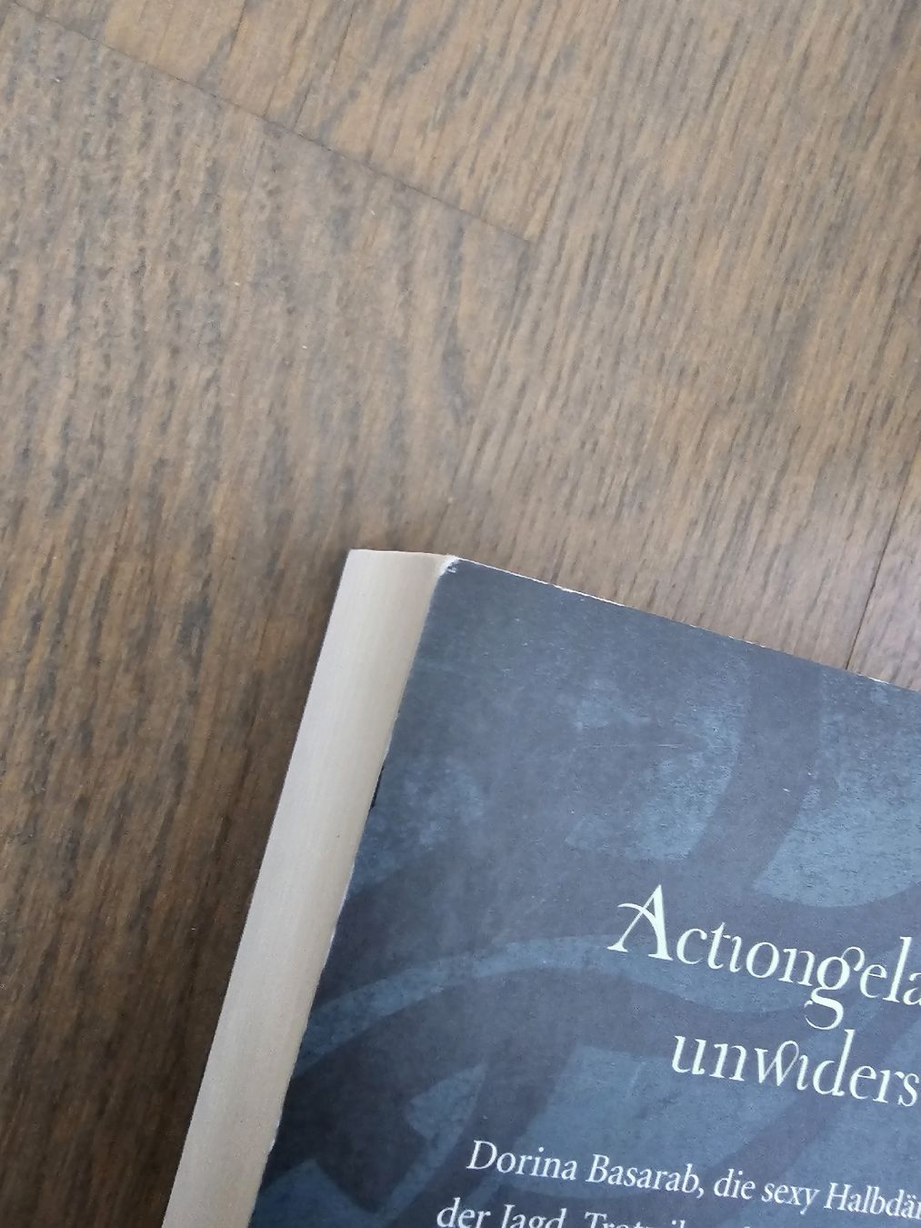 Bücher: Dorina Basarab - Karen Chance – Gebraucht aus Hinterforst von impatiently 4
