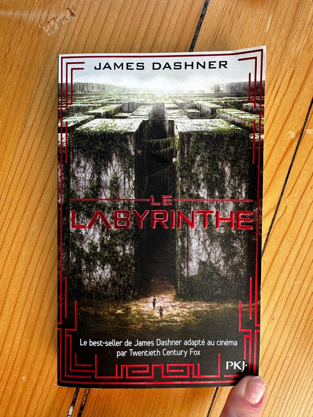 Bücher: LE LABYRINTHE – Gebraucht aus Genève von AGBERG