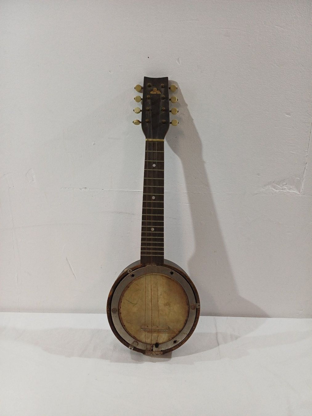 Strumenti musicali: Mandolinenbanjo – Usato da Luzern venduto da IG_Arbeit