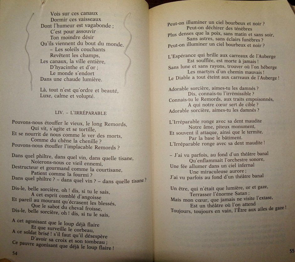 Bücher: Livre Les Fleurs du Mal Charles Baudelaire – Gebraucht aus Châtelaine von fil_7lqg 5