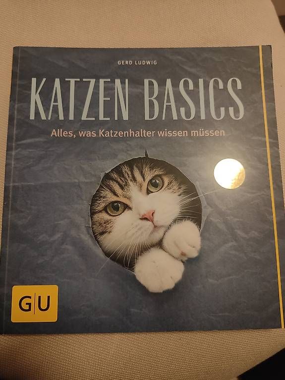 Libri: Katzen Basics - gerd ludwig – Usato da Luzern venduto da ser_q2gg