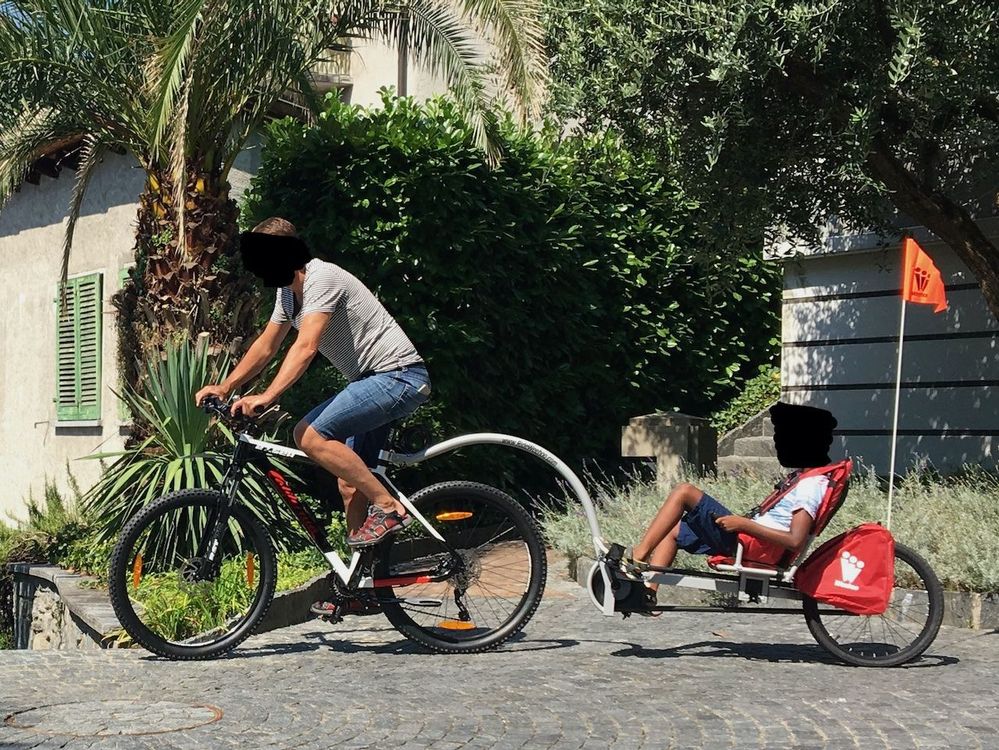 Veloanh nger Weehoo iGo Pro Kaufen auf Ricardo