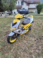 Peugeot Speedfight 2 50ccm –  Frisch ab MFK