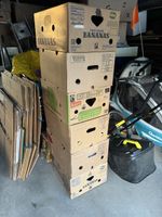 6 Bananenschachteln und 12 Umzugskartons