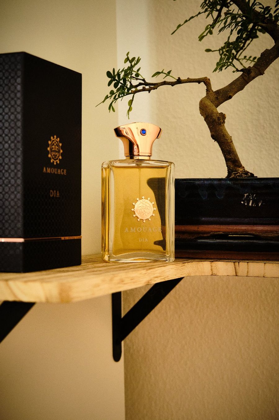 Amouage Profumi & Eau de Toilette: Dia Man, AMOUAGE (DECANT / Abfüllung) – Usato da Neuchâtel venduto da switzer_scent 1